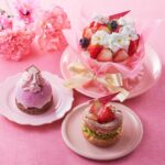 YATSUDOKI「母の日スイーツ」3日間限定で登場
